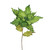 VIC-OF160913 - 26" Lime Poinsettia 13" Flower, 3-Pack - Vickerman