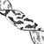 VIC-Q221168 - 2.5"x10yd White Black Velvet Bats Ribbon - Vickerman