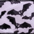 VIC-Q221168 - 2.5"x10yd White Black Velvet Bats Ribbon - Vickerman