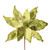 VIC-QG210113 - 17" Lime Poinsettia 12" Flower, 3-Pack - Vickerman