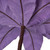VIC-RG221386 - 24" Lavender Velvet Poinsettia, 3-Pack - Vickerman
