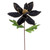VIC-RG223117 - 22" Black Velvet Glitter Poinsettia, 6-Pack - Vickerman