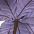 VIC-RG223186 - 22" Lavender Velv Glitter Poinsettia, 6-Pack - Vickerman