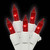 VIC-W4W0503 - 50 Lights Red/Warm White EC Lock Set 4"Sp 16'L - Vickerman