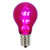 VIC-XA19T16 - A19 LED Purple Transparent Bulb E26 Nickel Base - Vickerman