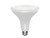 13W LED PAR38, Equal 100W Inc., 1050 lumens, 2700 Kelvin, E26 Base, 40?