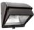 WP1CSN100/PC | RAB | LightingAndSupplies.com