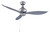 RP LightingFans 1018W-BP Bosque Brushed Pewter Ceiling Fan 52 inch Sweep - 1018W-BP