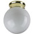 Sunlite 04477-SU 8" 120V Energy Saving Globe Style Fixture, Polished Brass