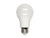 Enclosed Rated 6W Dimmable LED Omni A19 3000K Gen 8 E6A19DLED30/G8 by Maxlite