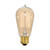 40ST19/CL/15S/120V VINTAGE
