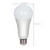 15A19/LED/4000K/1600L/120V/D