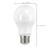 6A19/LED/5000K/ND/120V