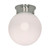 Nuvo 60/246 1 Light; 8 in.; Ceiling Mount; White Ball