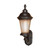 Nuvo 60/2502 Clarion ES; 3 Light; Wall Lantern Arm Up with Brushed Wheat Glass; Lamp Included