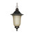 Nuvo 60/2509 Parisian ES; 1 Light; Hanging Lantern with Champagne Glass; Lamp Included