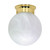 Nuvo 60/256 1 Light; 8 in.; Ceiling Mount; Alabaster Ball