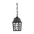 Nuvo 60/4933 Banyan; 1 Light; 11 in.; Outdoor Hanging with Clear Water Glass