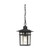 Nuvo 60/4956 Cove Neck; 1 Light; 12 in.; Outdoor Hang with Clear Seed Glass