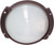 Nuvo 60/561 1 Light; CFL; 11 in.; Oblong Round Bulk Head; (1) 13W GU24 Lamp Included