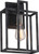 Nuvo 60/5856 Lake; 1 Light; Wall Sconce; Iron Black with Brushed Nickel Accents Finish