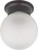 Nuvo 60/6012 1 Light; 6 in.; Ceiling Mount with Frosted White Glass; Color retail packaging