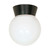 Nuvo SF77/153 1 Light - 8" - Utility; Ceiling Mount - With White Glass Globe - Bronzotic Finish