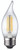 FF11D4040E26SCL95 TCP Lighting FF11D4040E26SCL95 F11 40W 40K E26 Clear 95Cri Light Bulbs