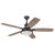 Westinghouse 7226700 Crescent Cove 52-Inch Indoor/Outdoor Ceiling Fan with LED Light Fixture