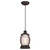 Westinghouse 6361700 Canyon Indoor Mini Pendant
Oil Rubbed Bronze Finish with Barnwood Accents and Clear Seeded Glass