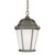 Westinghouse 6750900 One-Light Outdoor Pendant
Rust Finish on Cast Aluminum with Frosted Seeded Glass Panels