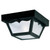 Westinghouse 6682200 One-Light Flush-Mount Outdoor Fixture
Black Finish on Hi-Impact Polypropylene with Frosted Glass Panels