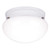 Westinghouse 6669900 One-Light Indoor Flush-Mount Ceiling Fixture
White Finish with White Glass