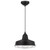 Westinghouse 6401000 Academy LED Indoor Pendant
Black Finish with Removeable Chrome Cage