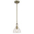 Westinghouse 6356500 Fiona Indoor Mini Pendant
Antique Brass Finish with Clear Seeded Glass