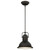 Westinghouse 63087B Boswell LED Indoor Pendant
Oil Rubbed Bronze Finish with Highlights and Frosted Prismatic Lens