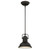 Westinghouse 63082B Boswell LED Indoor Mini Pendant
Oil Rubbed Bronze Finish with Highlights and Frosted Prismatic Lens