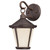 Westinghouse 6204100 Darcy One-Light LED Outdoor Wall Lantern
Victorian Bronze Finish with Amber Frosted Glass