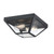 Westinghouse 6114300 Wyndham 12-Inch Two-Light Outdoor Flush Mount Ceiling Fixture
Textured Black Finish with Clear Seeded Glass