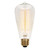 Westinghouse 0413200 Westinghouse 0413200 60 Watt ST20 Timeless Vintage Inspired Bulb 2450K Clear E26 Medium Base, 120 Volt, Card