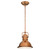 Westinghouse 63084A 1Lt Pend Washed Copper w/Plstc Pnls Stem w/Lamp