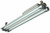 Larson Electronics Dimmable T8 Explosion Proof, Waterproof Fluorescent Light -Paint Booth, Rigs - 2 Lamp - 4 foot