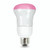Lighting and Supplies LS-81304 8R20/Frost/Pink Dimmable Ccfl- NT20C