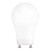 Lighting and Supplies LS-9-1917 Lighting and Supplies LS-9-1917 LED 10Wa19/Omni/50K/Gu24/Dimm- V7- NT20C LED Indoor Lamp