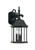 Designers Fountain Pro Plus 2981-BK Devonshire 9" Wall Lantern