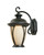 Designers Fountain Pro Plus 30521-AM-BZ Westchester 9" Wall Lantern