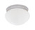 Designers Fountain Pro Plus 4732-WH Basic Flushmount 9" Flushmount