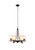 Designers Fountain Pro Plus 97386-WSD Austin 6 Light Chandelier