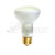 Topaz Lighting 45R20FL/120V-51 45W Frosted R20 Flood Lamp