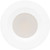 Westgate Lighting RDPS4-MCTP Recessed Downlight